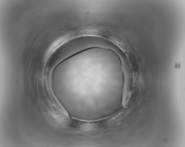 X0000093610293200710291211