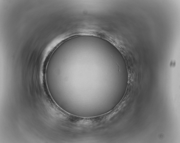 X0000093610294200710291211