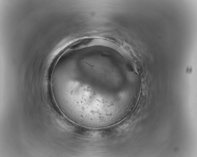 X0000093610295200710291211