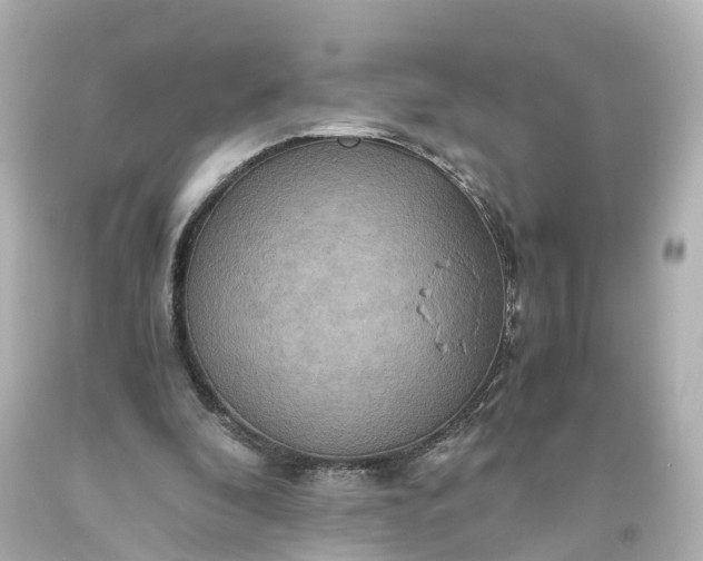 X0000093610296200710291211