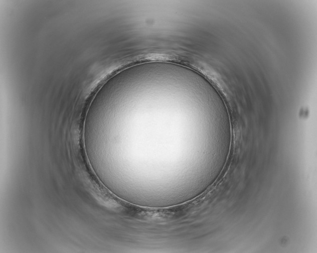 X0000093610297200710291211