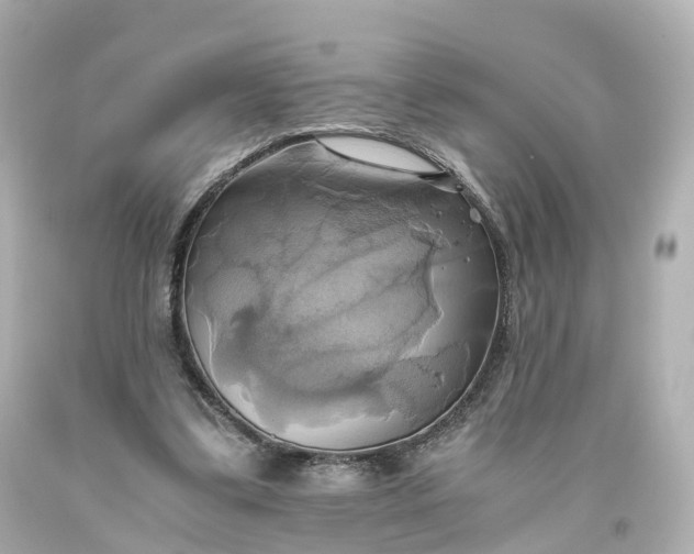 X0000093610299200710291211