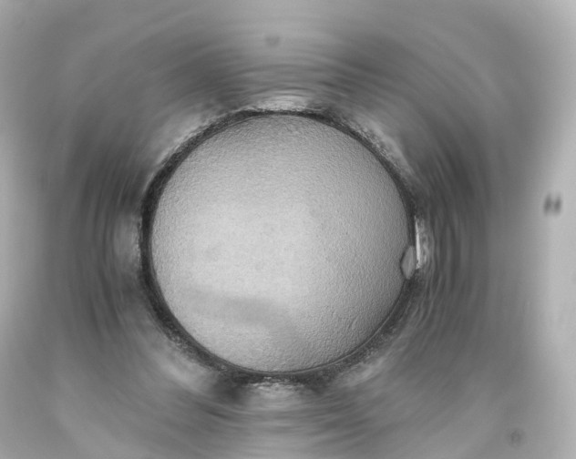 X0000093610300200710291211
