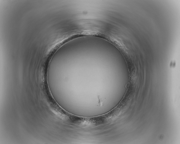 X0000093610303200710291211
