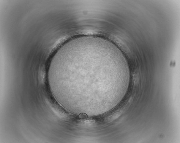 X0000093610304200710291211
