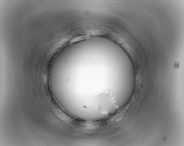 X0000093610305200710291211