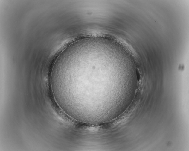 X0000093610306200710291211