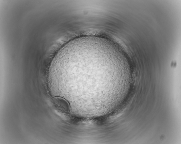 X0000093610307200710291211