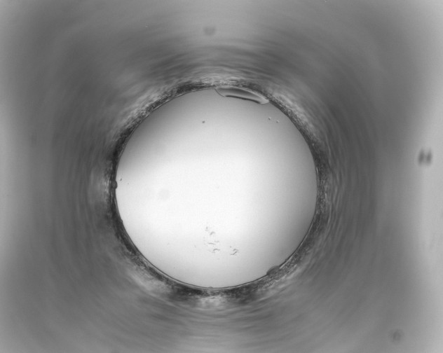 X0000093610309200710291211