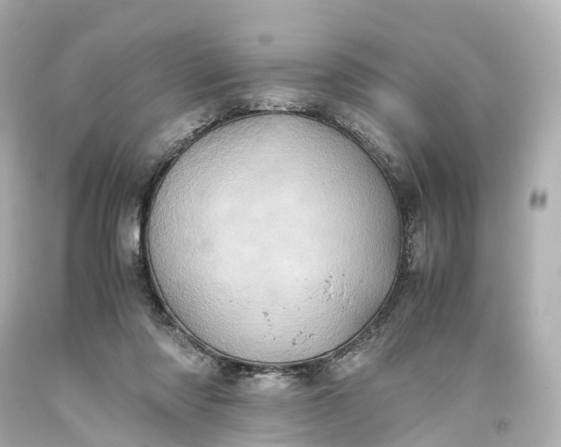 X0000093610310200710291211
