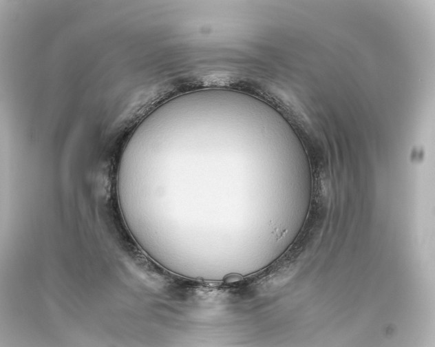 X0000093610311200710291211