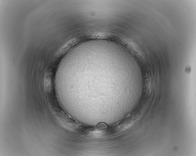 X0000093610312200710291211