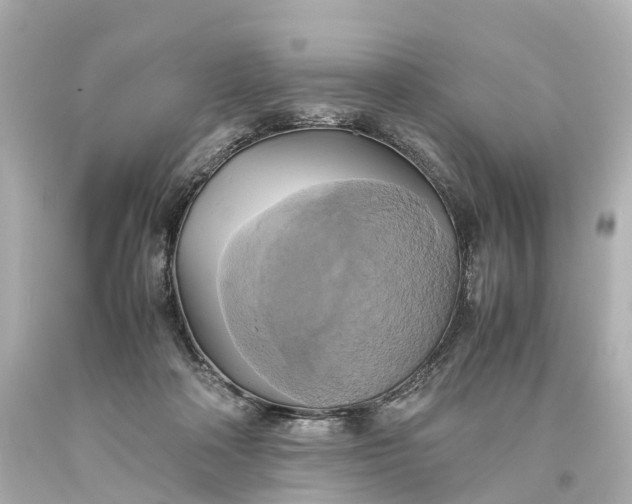X0000093610314200710291211
