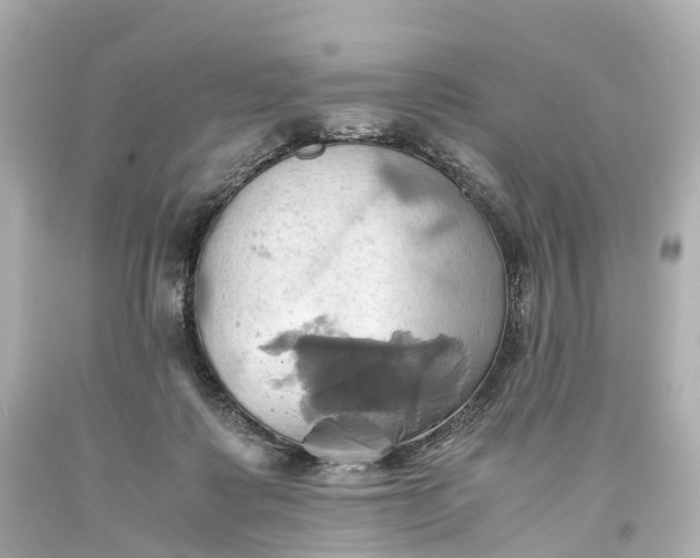 X0000093610315200710291211