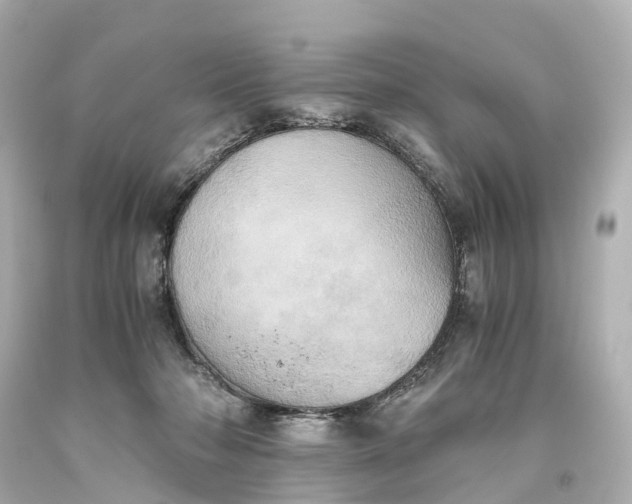 X0000093610318200710291211