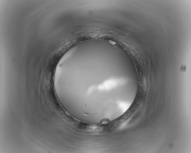 X0000093610319200710291211