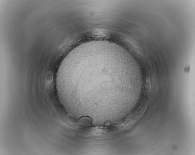 X0000093610320200710291211