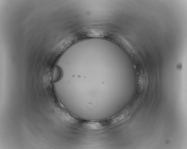 X0000093610322200710291211