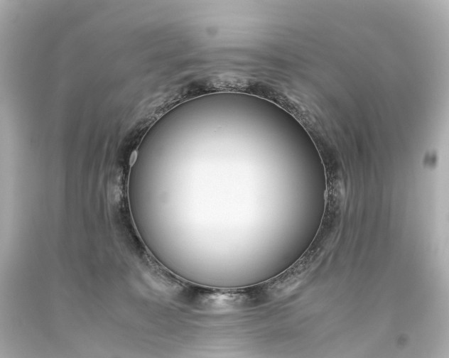 X0000093610323200710291211