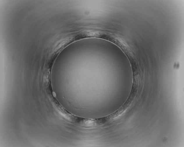 X0000093610325200710291211