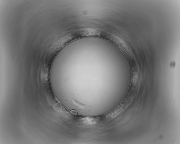 X0000093610326200710291211