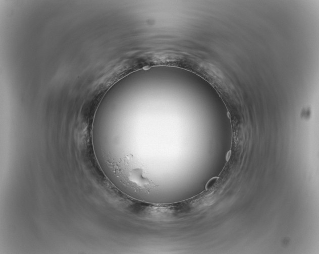 X0000093610327200710291211