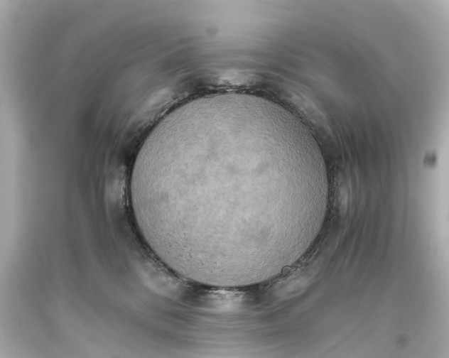 X0000093610328200710291211