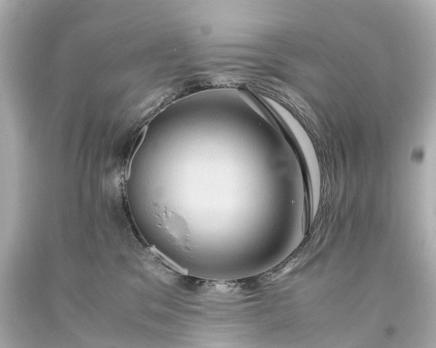 X0000093610329200710291211