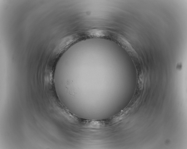 X0000093610330200710291211