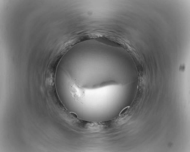 X0000093610331200710291211