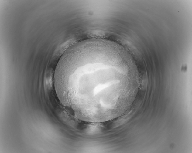 X0000093610334200710291211