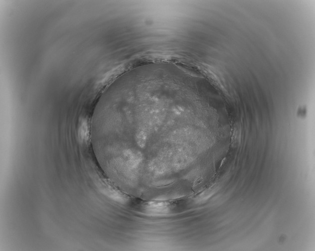 X0000093610335200710291211