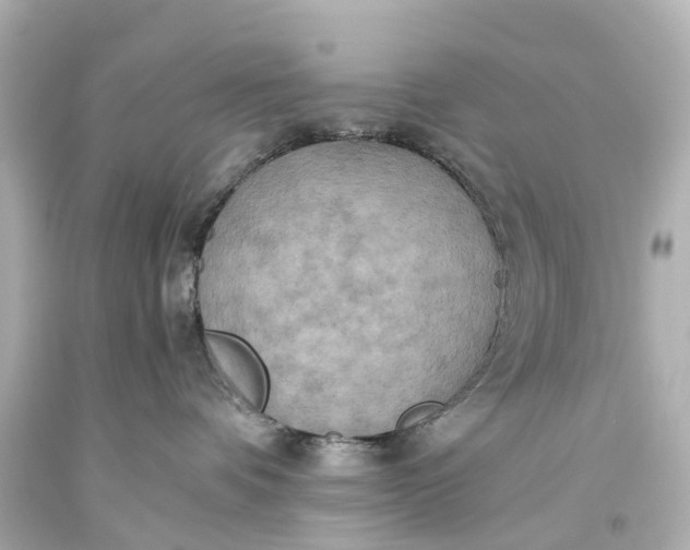 X0000093610336200710291211