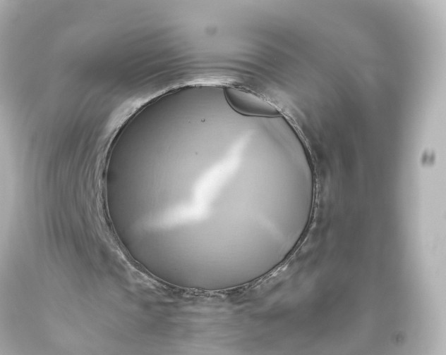 X0000093610337200710291210