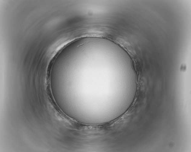 X0000093610338200710291210