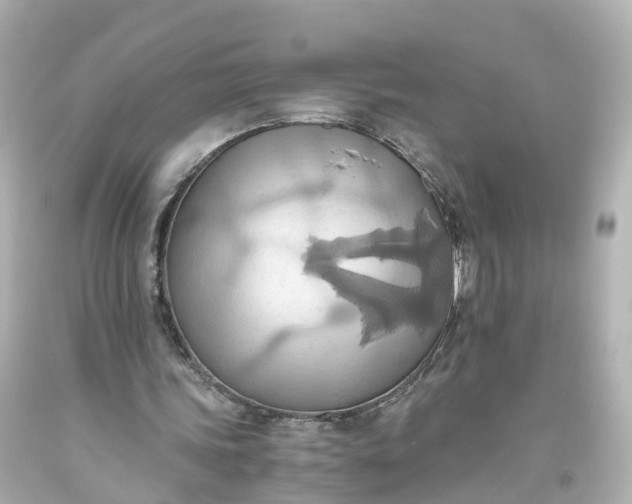 X0000093610339200710291210