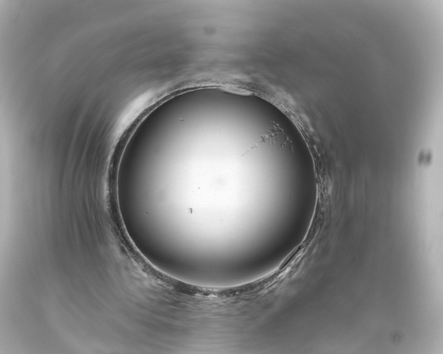 X0000093610340200710291210