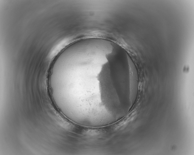 X0000093610341200710291210