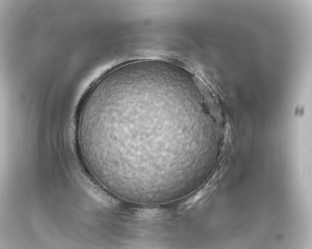 X0000093610342200710291210