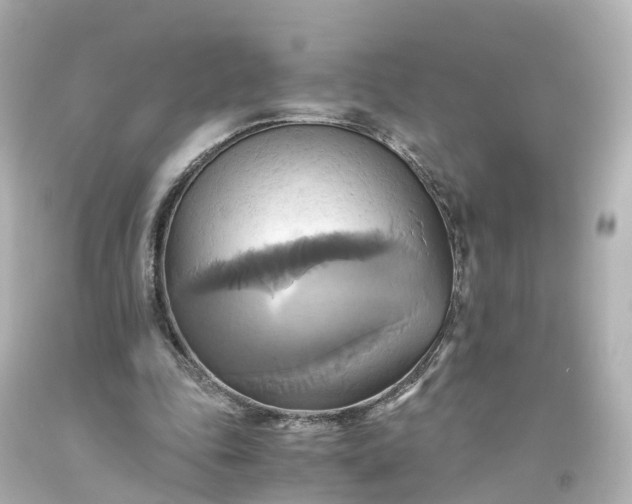 X0000093610343200710291210