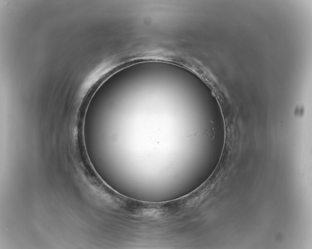X0000093610344200710291210