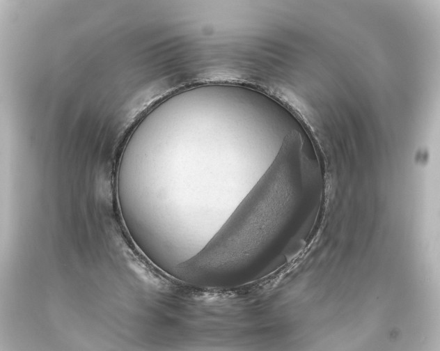 X0000093610345200710291210