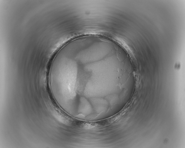 X0000093610346200710291210