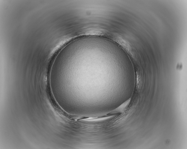 X0000093610348200710291210