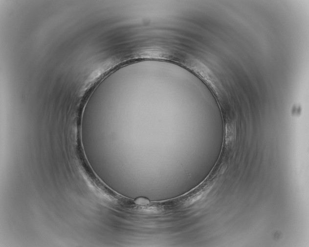 X0000093610349200710291210