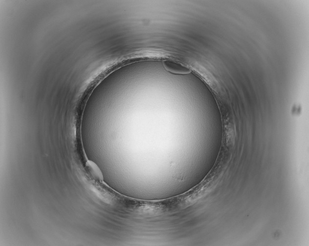 X0000093610350200710291210