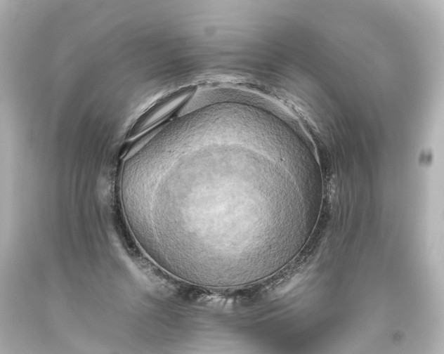 X0000093610352200710291210