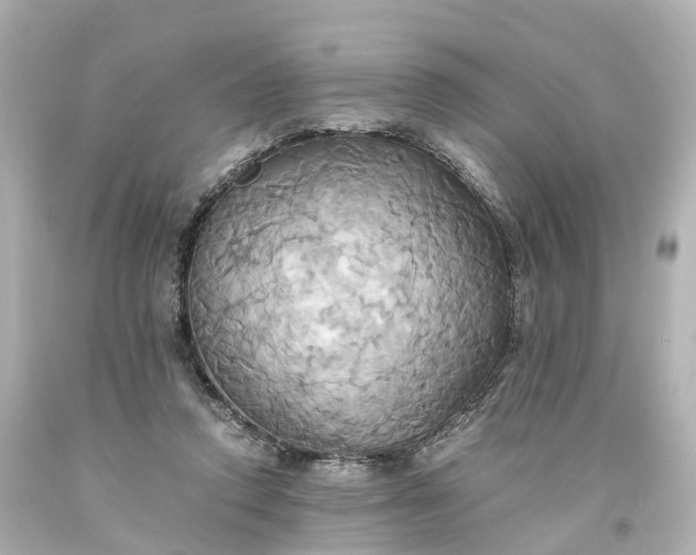 X0000093610354200710291210