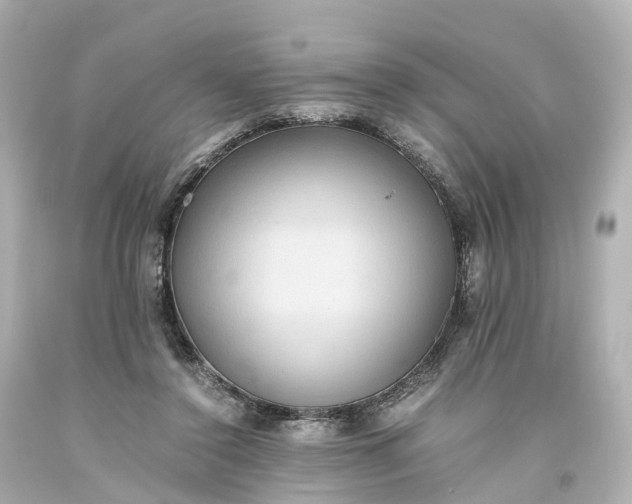 X0000093610356200710291210