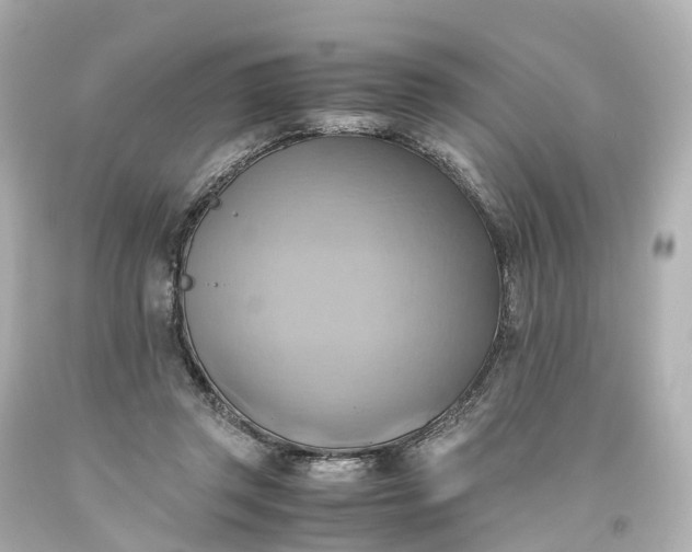 X0000093610357200710291210